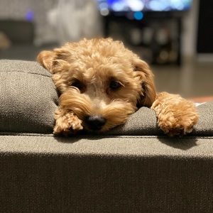 Meet your Posher, Kendra